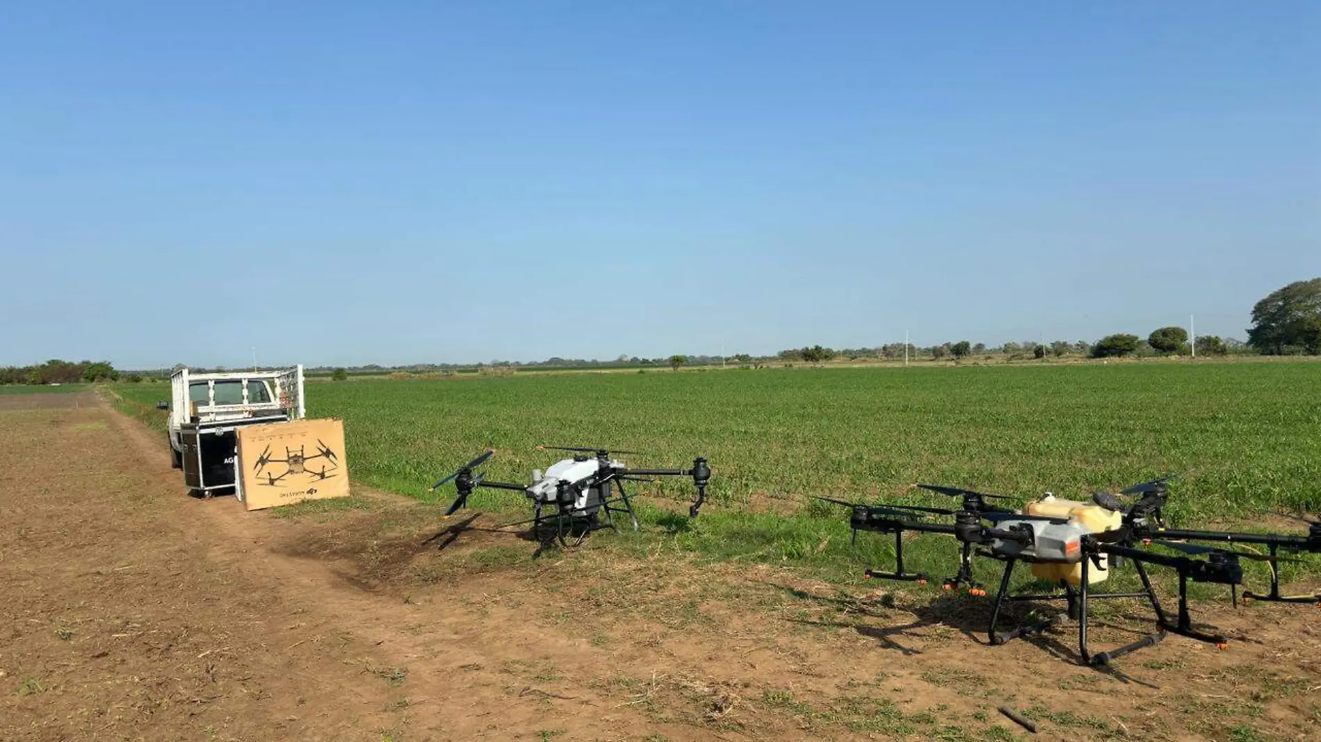 drones en el campo